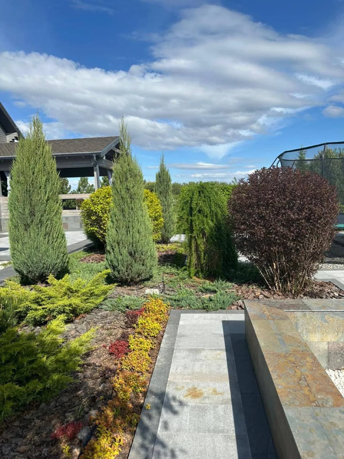 Пустырь в сад за 6 месяцев