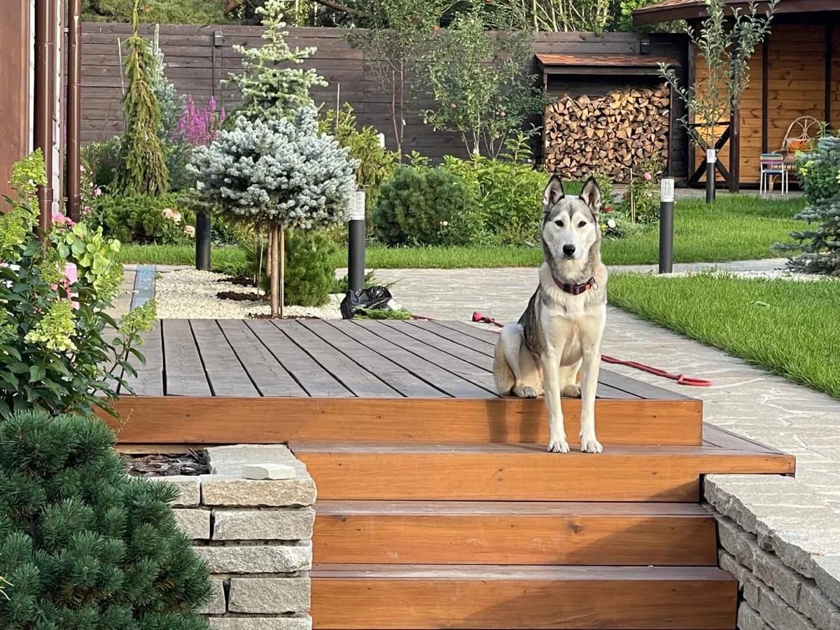 Пустырь превратился в сад — за 6 недель